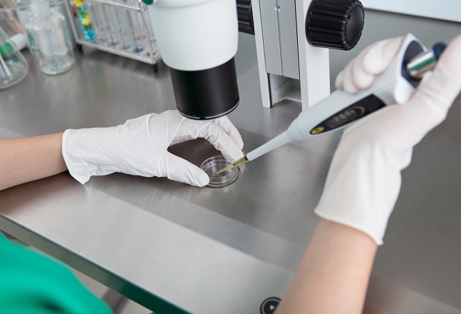 IVF Surrogacy : In Vitro Fertilization Process, PGD Testing