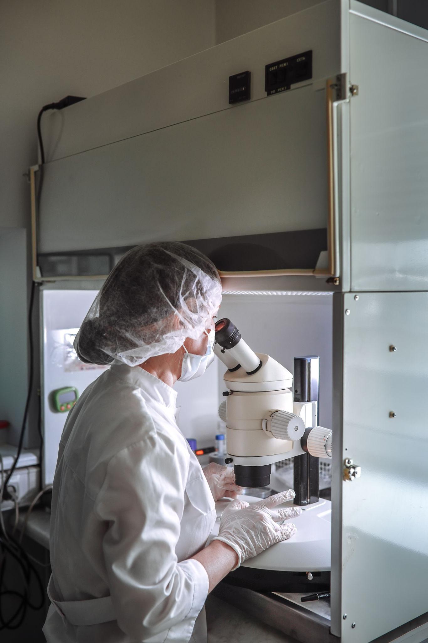 Does Insurance Cover IVF or Surrogacy in 2026? Full Guide