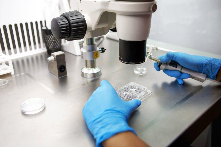 Surrogacy article image: Do You Need PGT-A Before Surrogacy? 2026 ASRM Insights