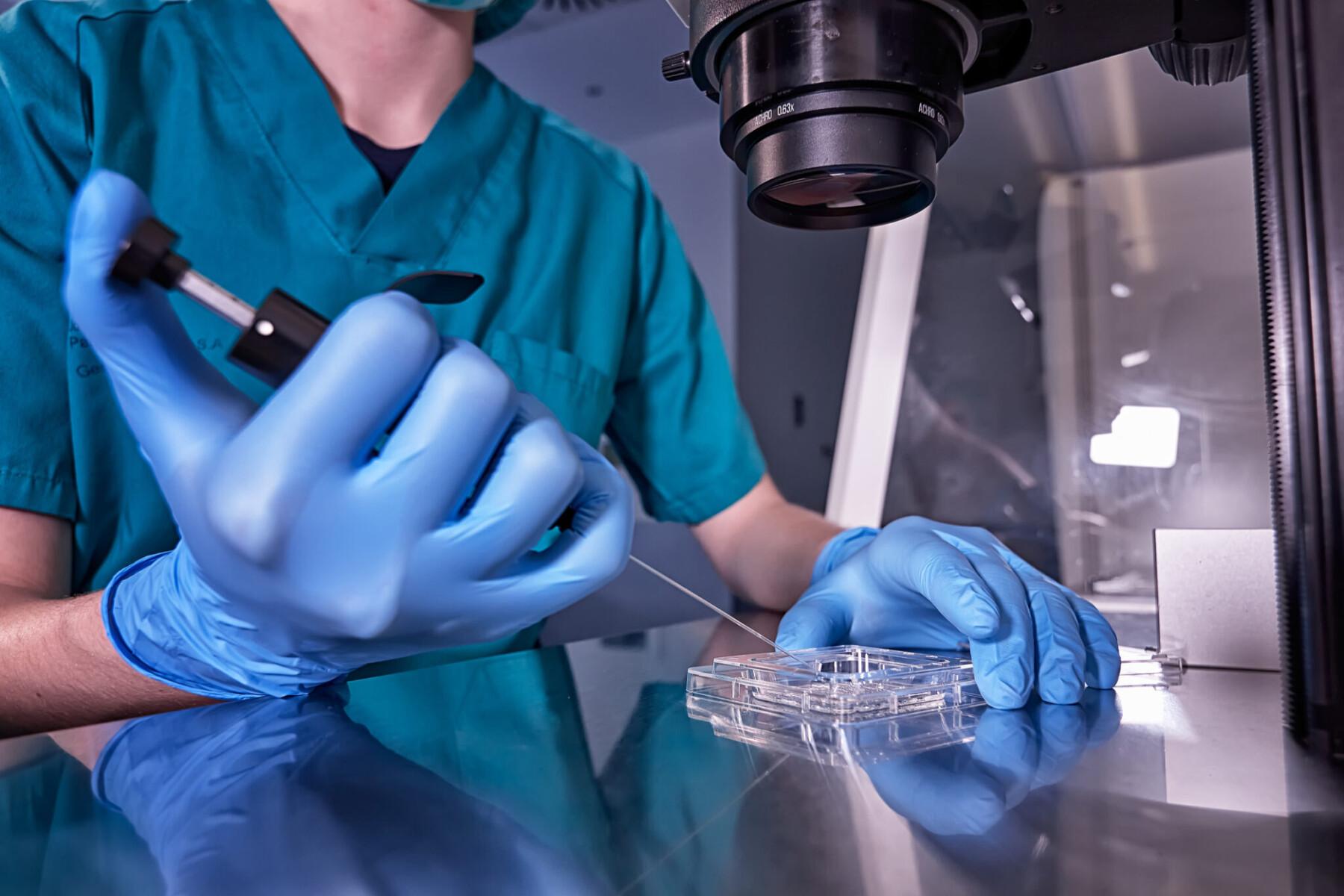 Surrogacy article image: IVF Clinic Safety in 2026: 10 Questions Parents Should Ask