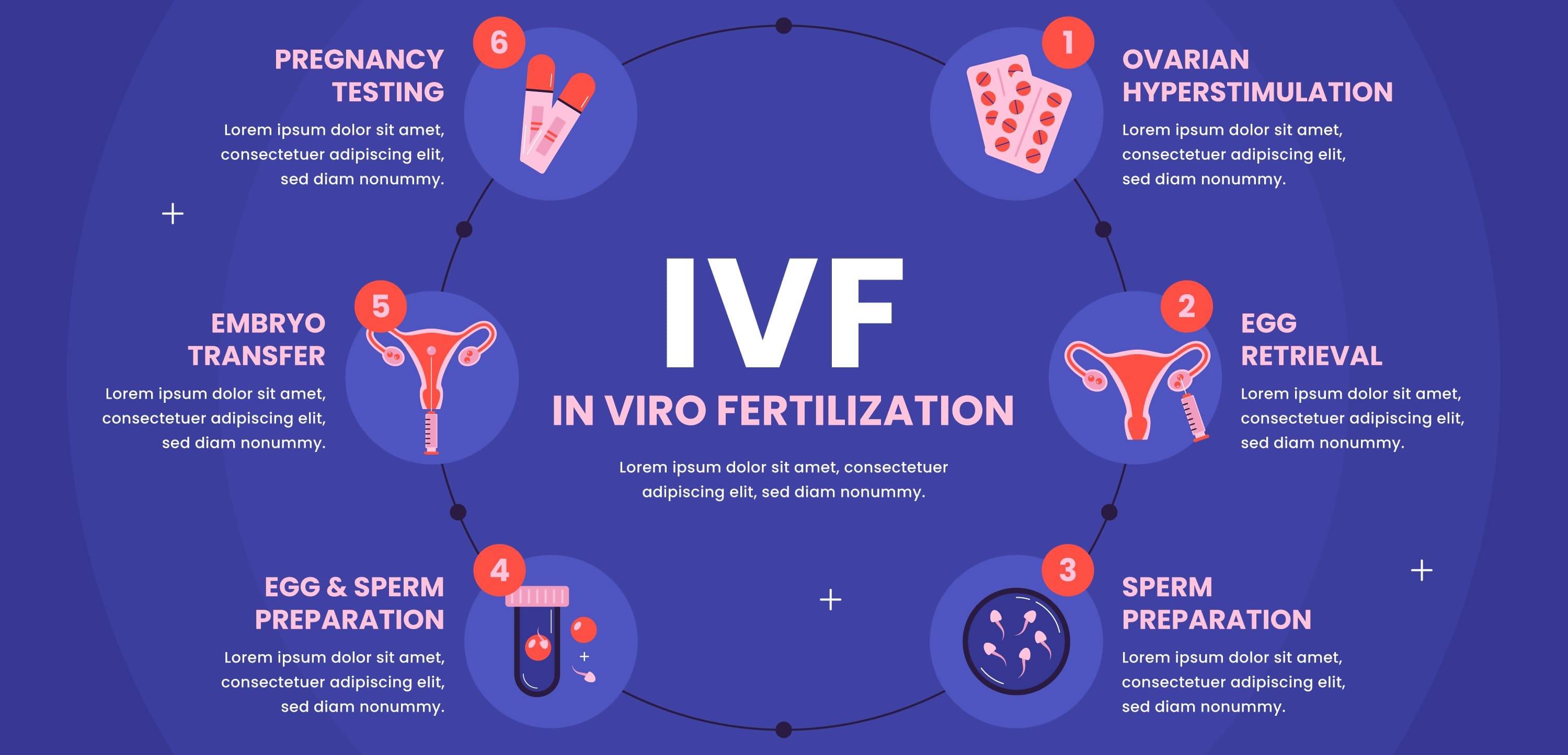 Surrogacy article image: Already Have Embryos? What to Prepare Before Matching With a Surrogate 2